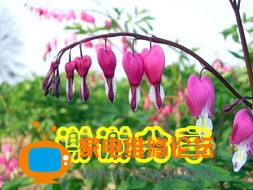 181158r7qj35uki35uggu3.jpg